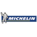 Michelin 275/45R21 110V XL Pilot Alpin 5 SUV Kış Lastiği