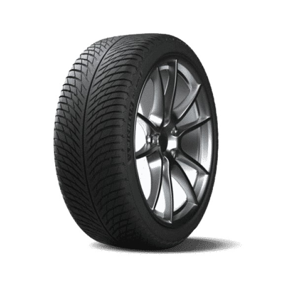 Michelin 255/40R20 101V XL Pilot Alpin 5 MO1 Kış Lastiği