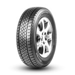 Dayton 195/60R16C 99/97T  VAN WINTER Kış Lastiği