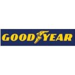 Goodyear 225/75R16C 121/120R Eagle Sport 4 Seasons Cargo 4 Mevsim Lastiği