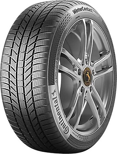 Continental Wintercontact Ts 870 P Lastikleri